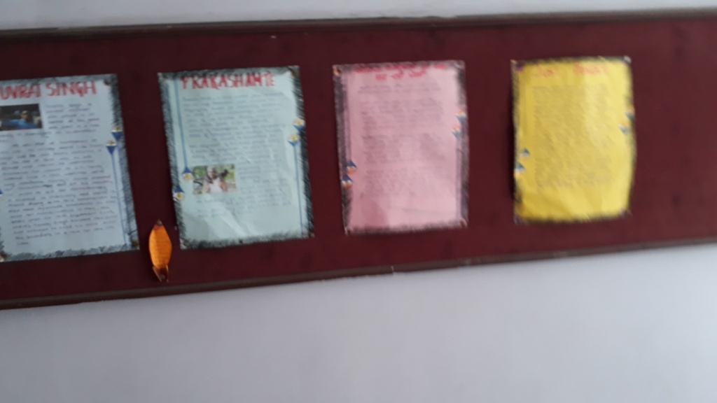 InterHouse Display Board Decoration Competition Bhavan's Lloyds